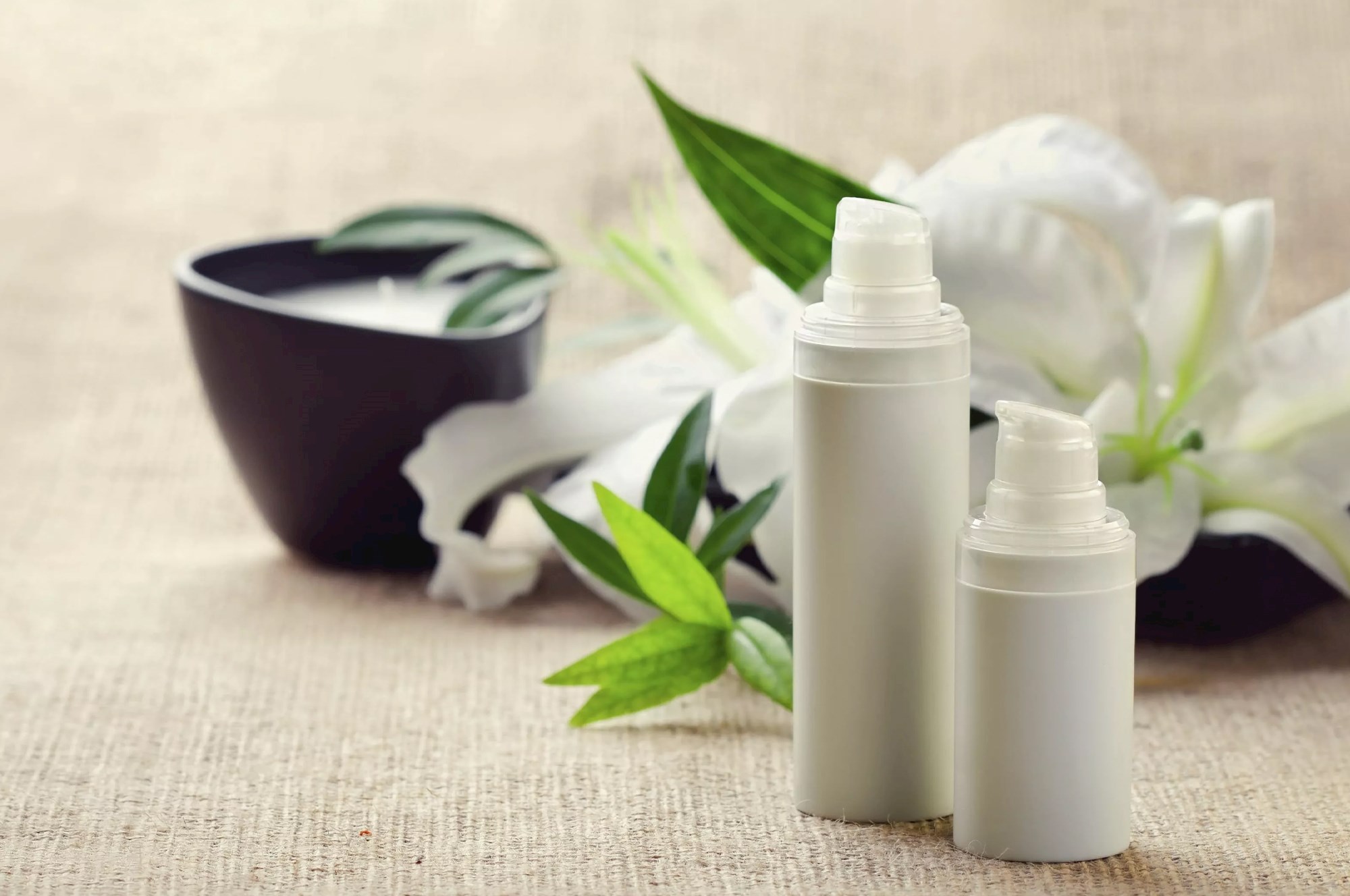 Pubblica velocemente il catalogo